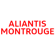 AUDI ALIANTIS 92